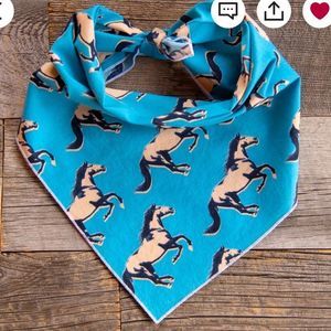 NEW Set of 2 Dog Bandanas-Size XL